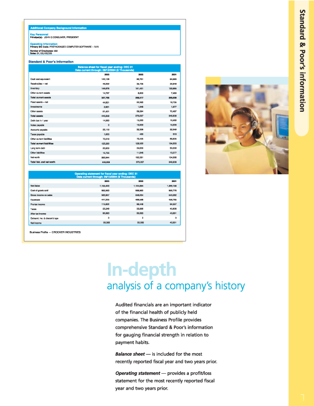 business credit business profile report